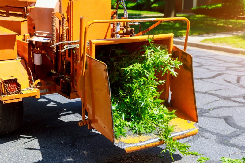 Bradford Pear Trimming