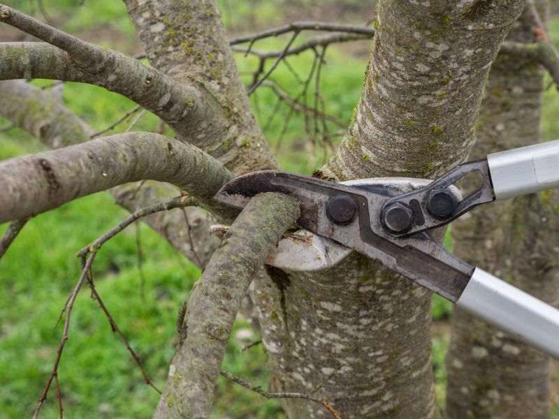 Structural Pruning